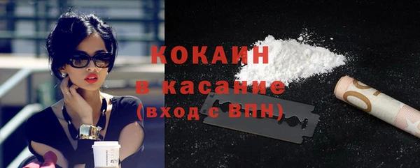 спайс Каменка
