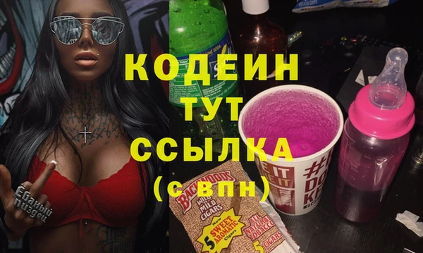 спайс Каменка