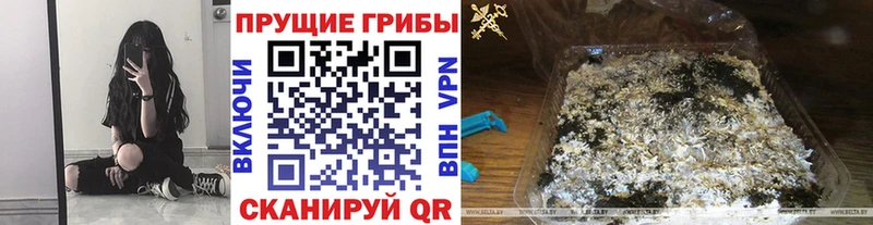 Псилоцибиновые грибы GOLDEN TEACHER  Киренск 